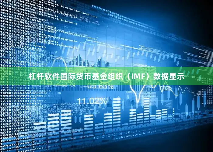 杠杆软件国际货币基金组织（IMF）数据显示