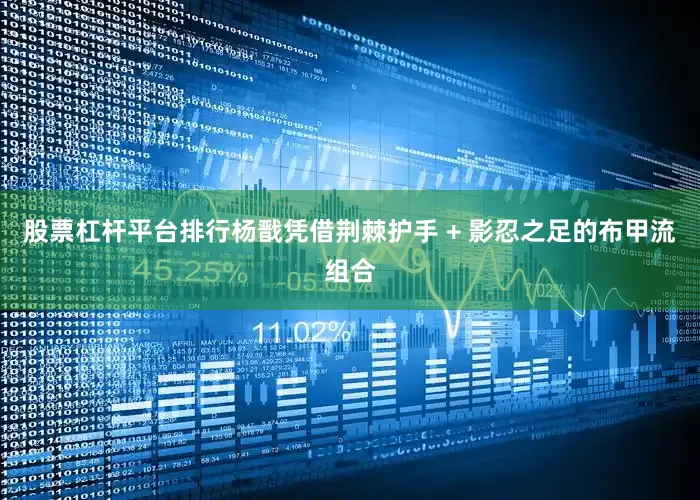 股票杠杆平台排行杨戬凭借荆棘护手 + 影忍之足的布甲流组合