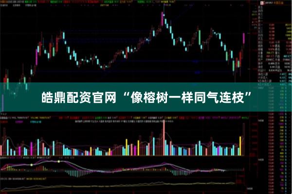 皓鼎配资官网 “像榕树一样同气连枝”