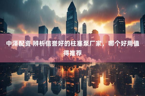 中泽配资 辨析信誉好的柱塞泵厂家，哪个好用值得推荐